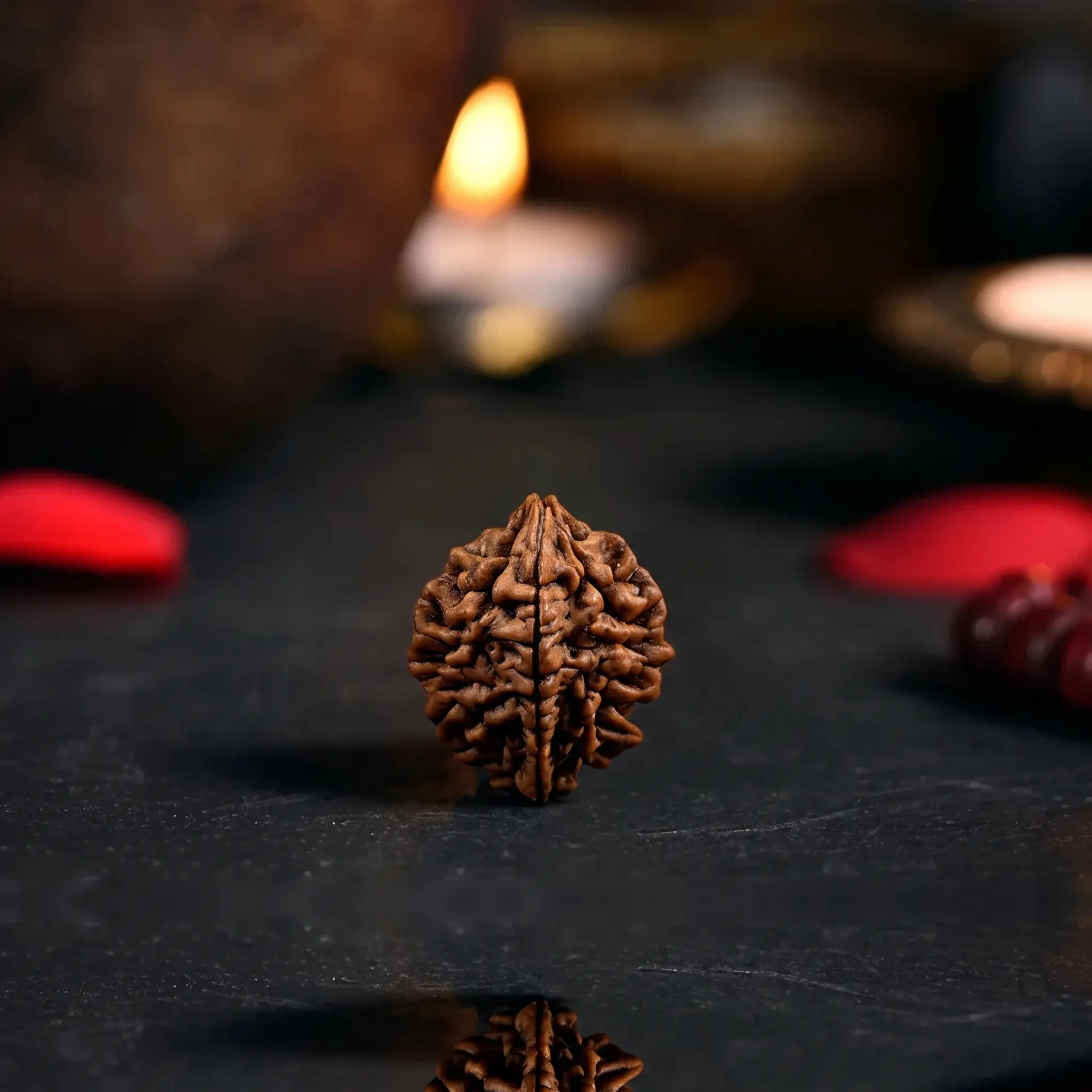 2 Mukhi Rudraksha: The Sacred Bead of Unity, Harmony & Inner Balance