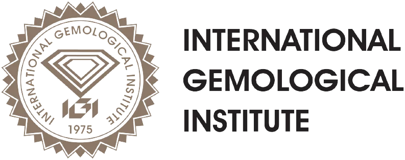 igi-certification