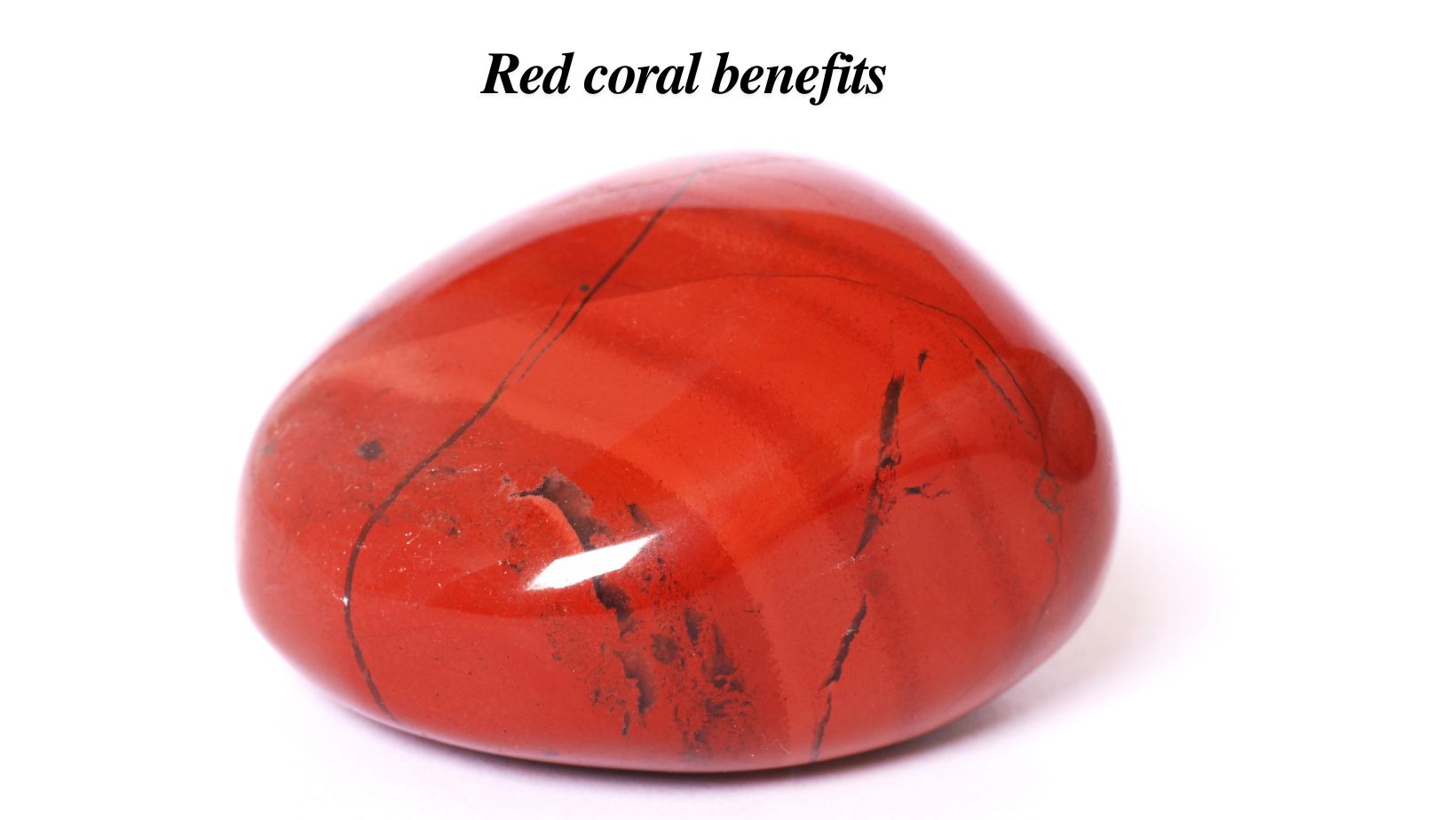 Red Coral Benefits for Health and Success