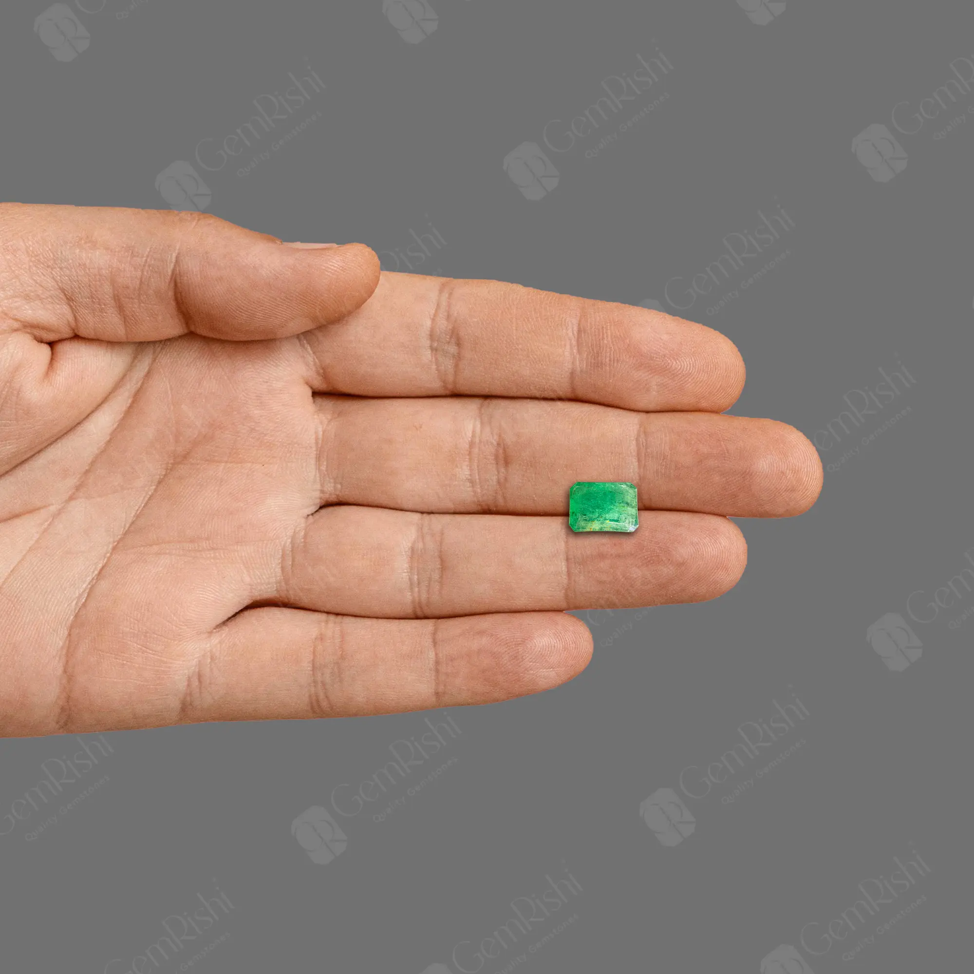 PANNA_168A_handgem