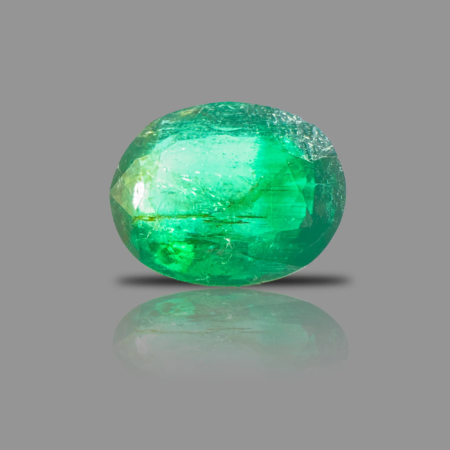 PANNA_207A