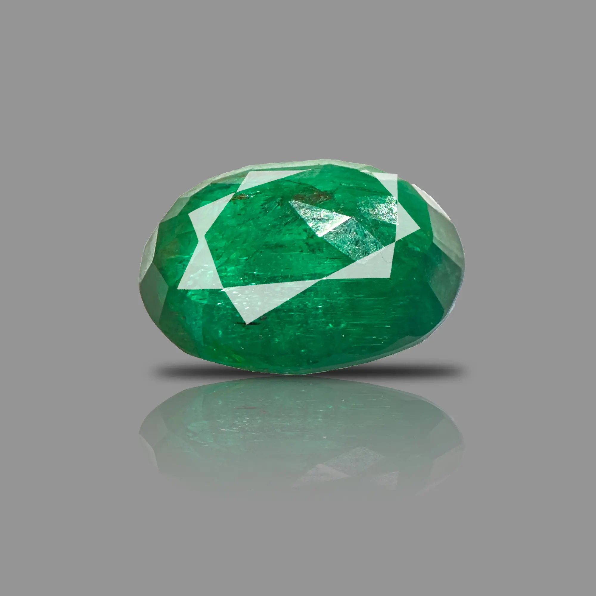 PANNA_207B