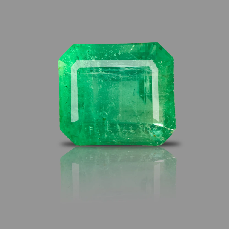 PANNA_216A
