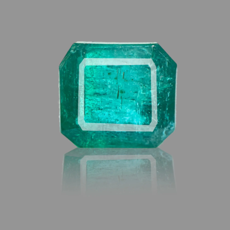 PANNA_220A