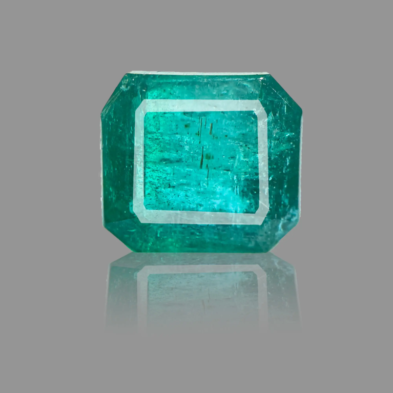 PANNA_220A