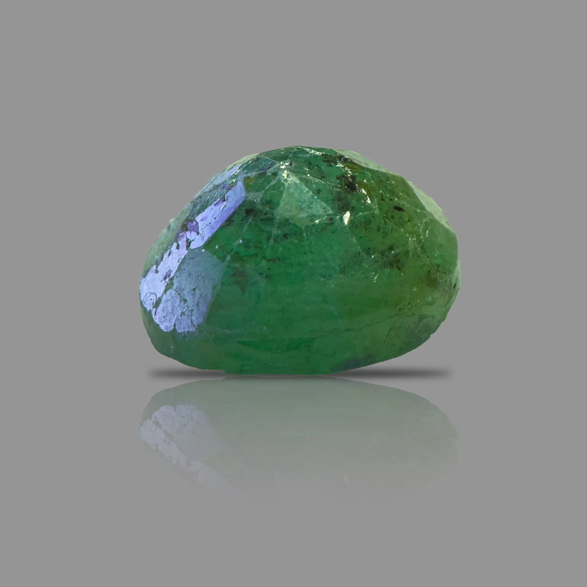 PANNA_290B