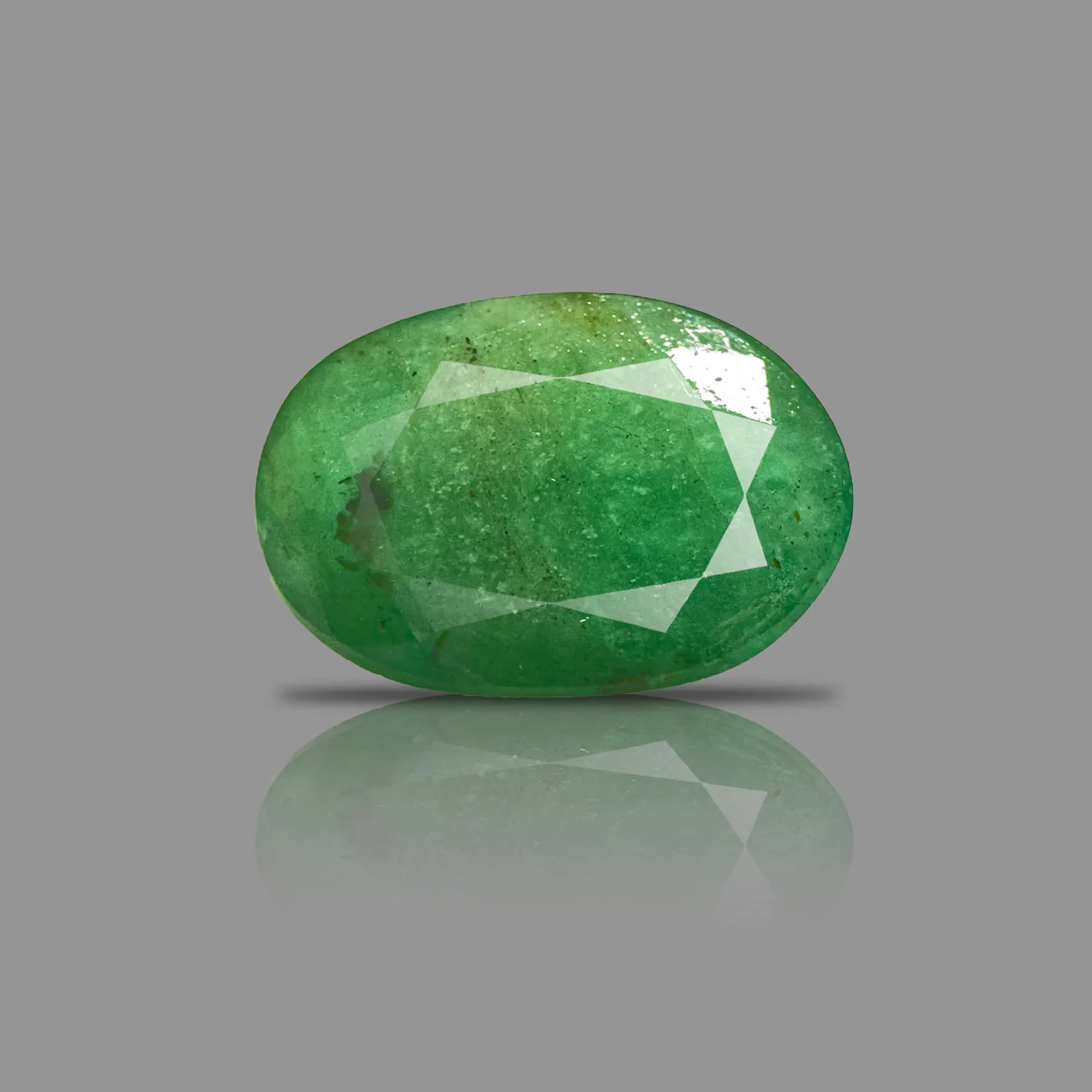 PANNA_293A
