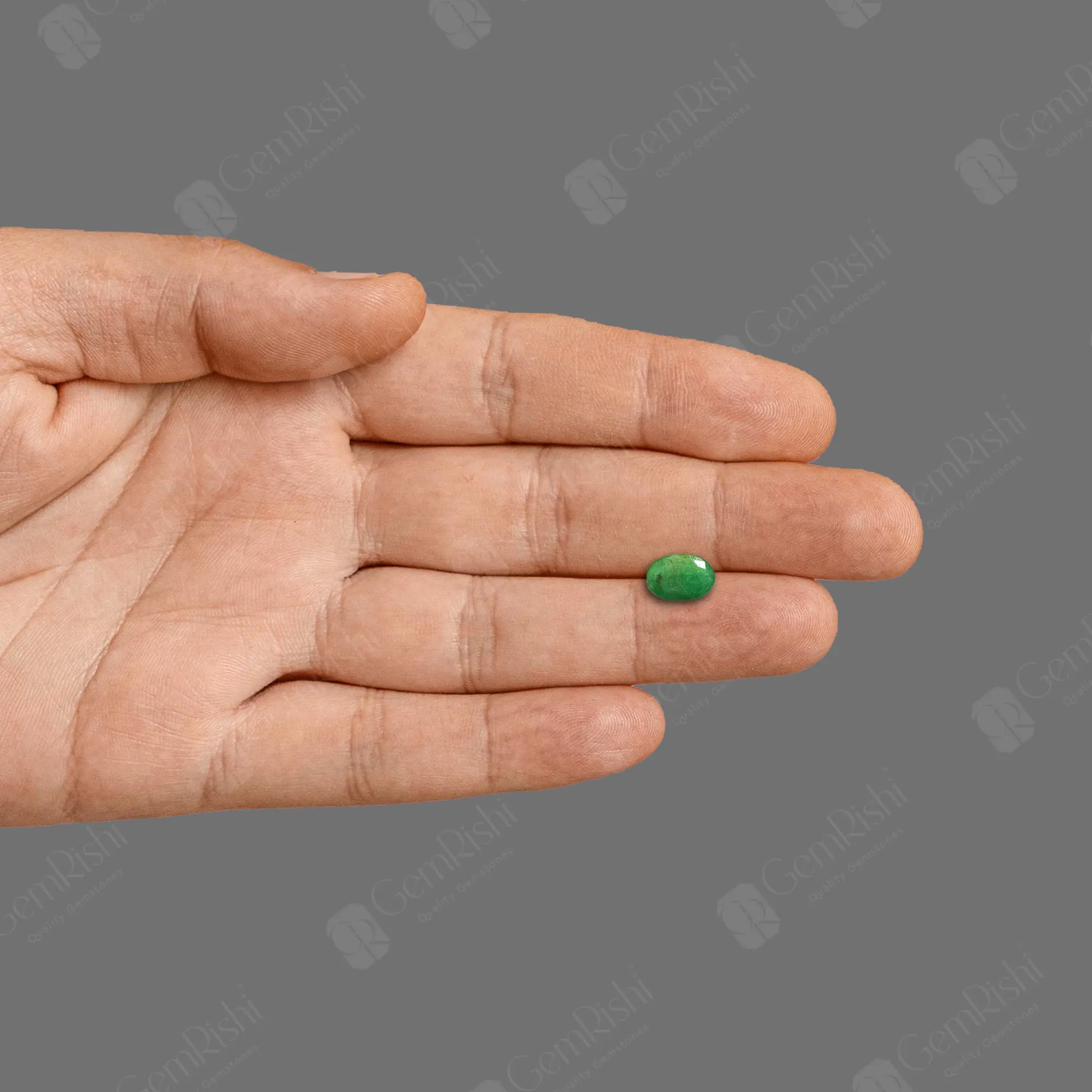 PANNA_293A_handgem