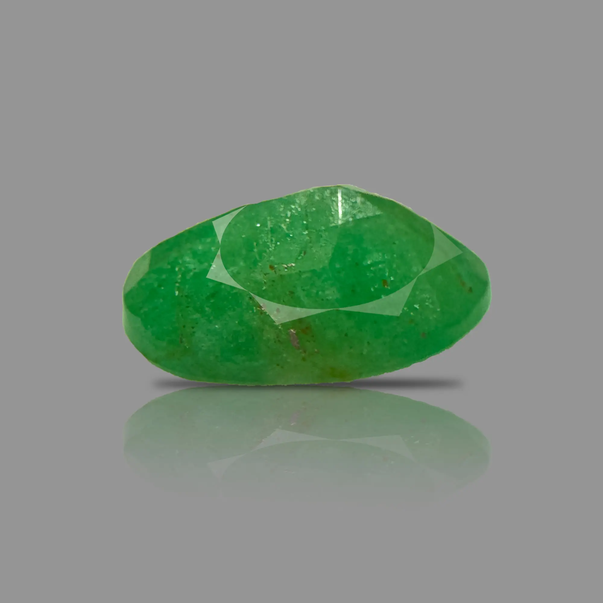 PANNA_293B