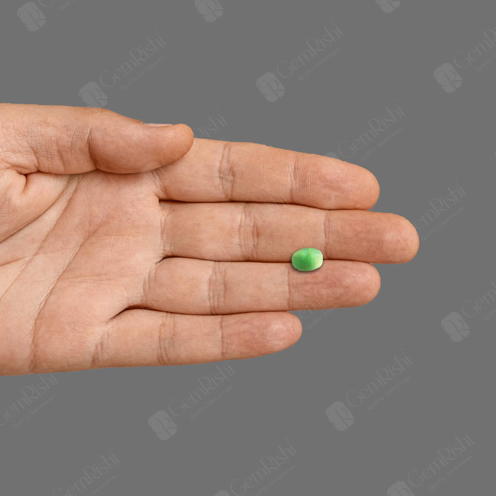 PANNA_297A_handgem