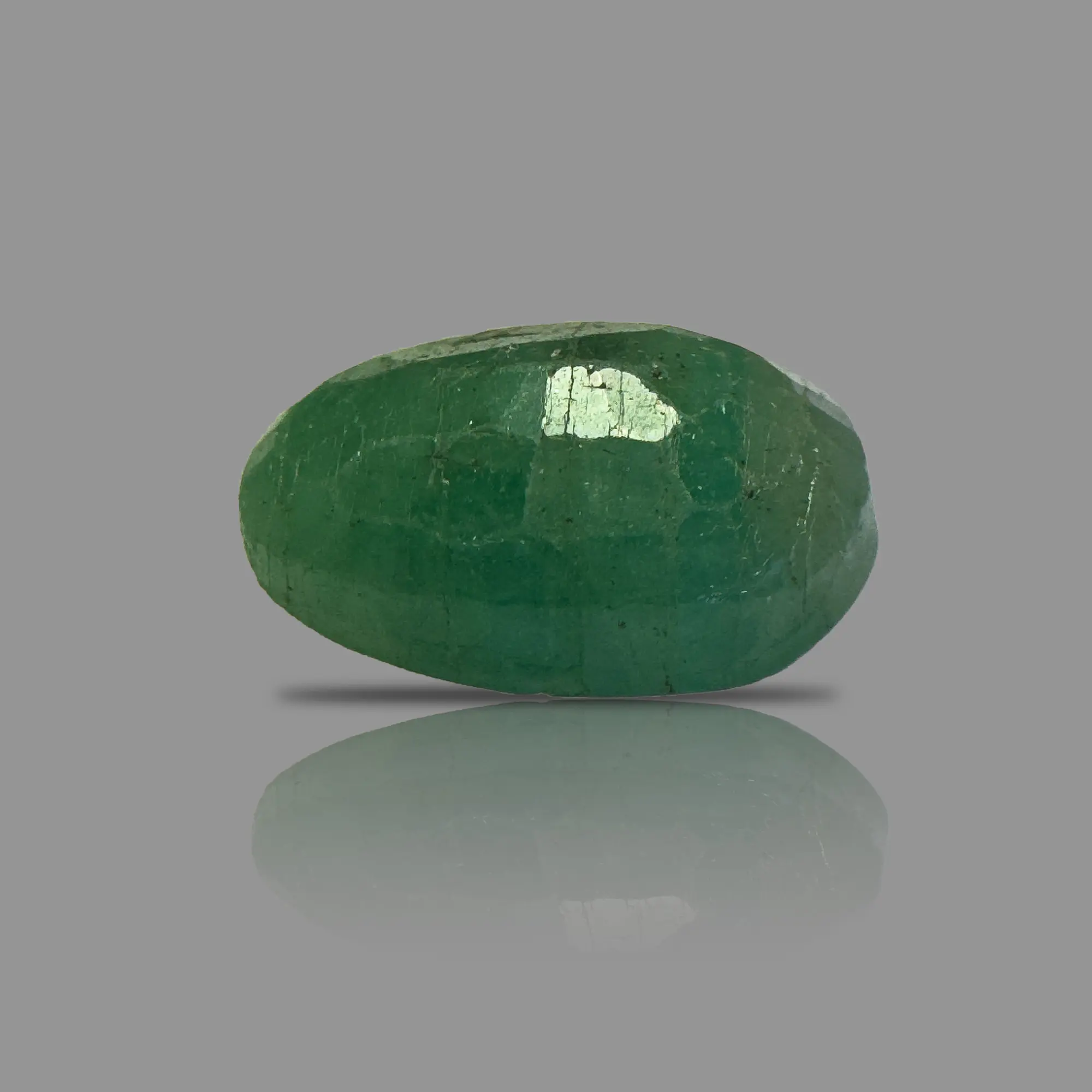 PANNA_297B