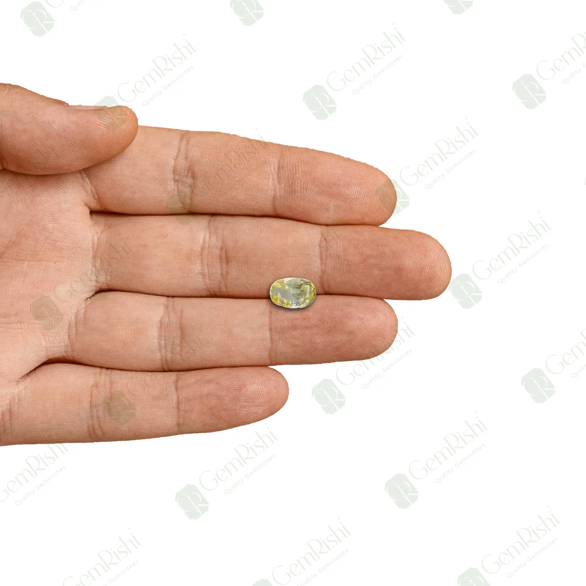 PKRAJ116FRONT PALM