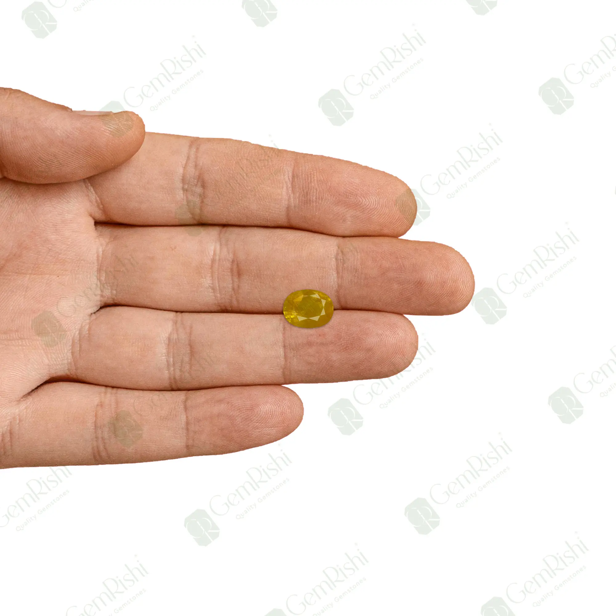 PKRAJ254F_PALM_EDITED